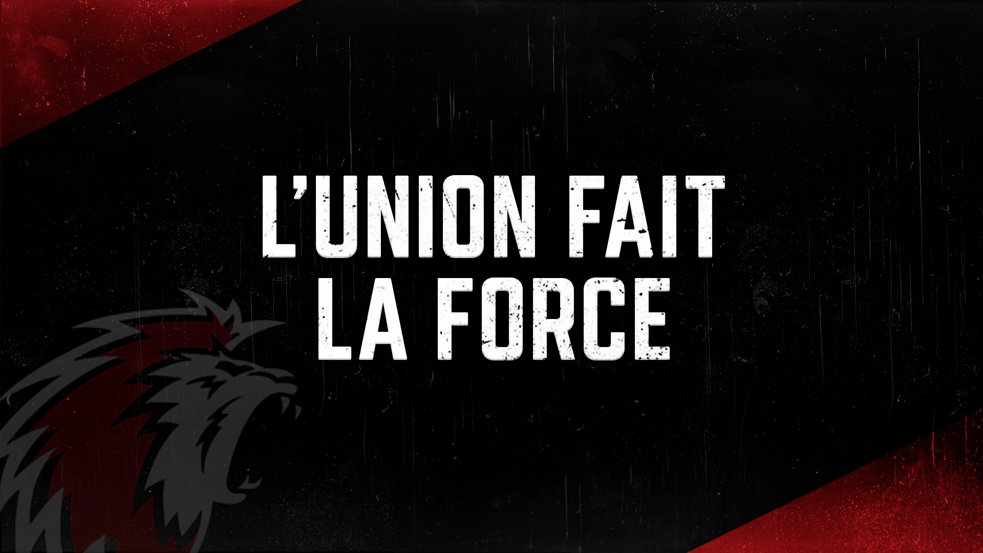Replay - L'union fait la force, les coulisses du LHC - carac.tv